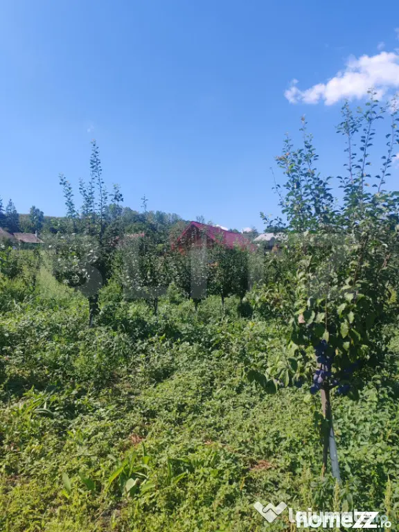 Căsuță tip foișor, 30 mp, pe un teren de 3.000 mp, veder - Suceava (Suceava)