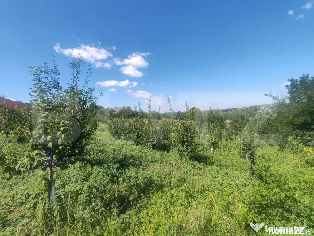Căsuță tip foișor, 30 mp, pe un teren de 3.000 mp, veder - Suceava (Suceava)