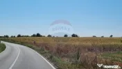 Teren 16.083 mp de vânzare – Sinești, sat Lilieci, Sl... 