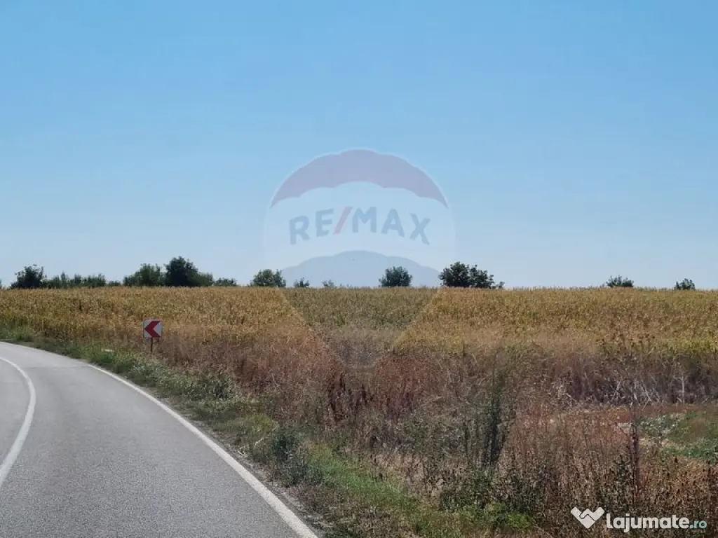 Teren 16.083 mp de vânzare – Sinești, sat Lilieci, Sl...