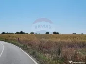 Teren 16.083 mp de vânzare – Sinești, sat Lilieci, Sl... 