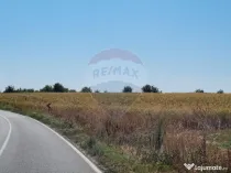 Teren 16.083 mp de vânzare – Sinești, sat Lilieci, Sl...