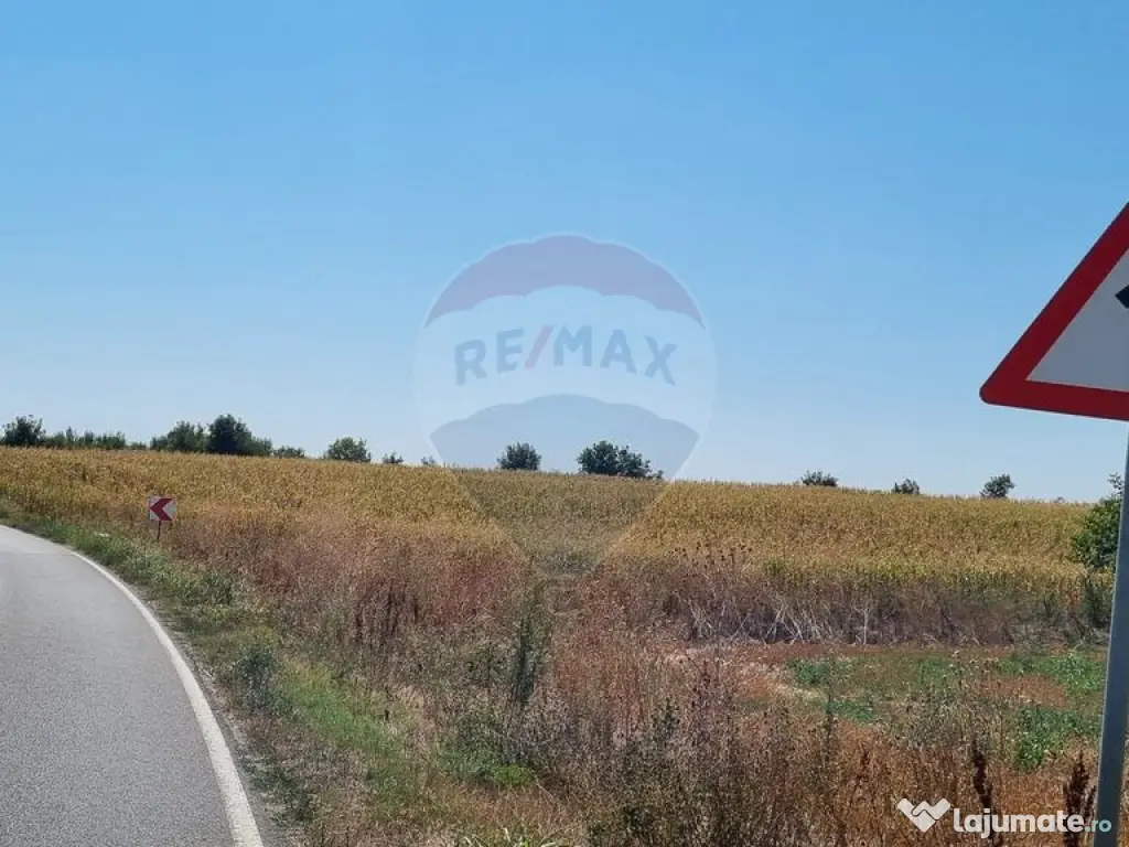 Teren 16.083 mp de vânzare – Sinești, sat Lilieci, Sl...