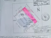 Teren 16.083 mp de vânzare – Sinești, sat Lilieci, Sl... 