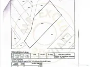 Teren pentru constructie casa cu utilitati – Ciolpani, zon 
