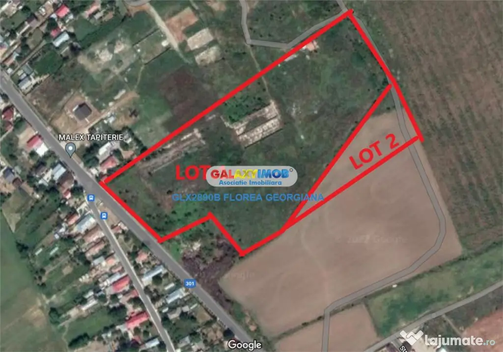 Teren 38.000 mp Tanganu Cernica