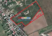 Teren 38.000 mp Tanganu Cernica 