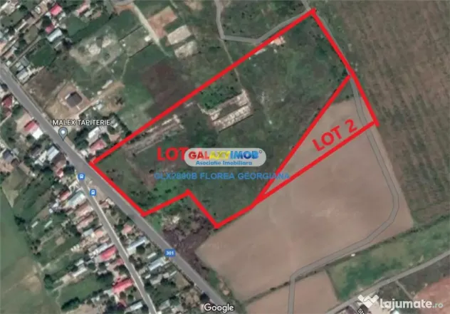 Teren 38.000 mp Tanganu Cernica