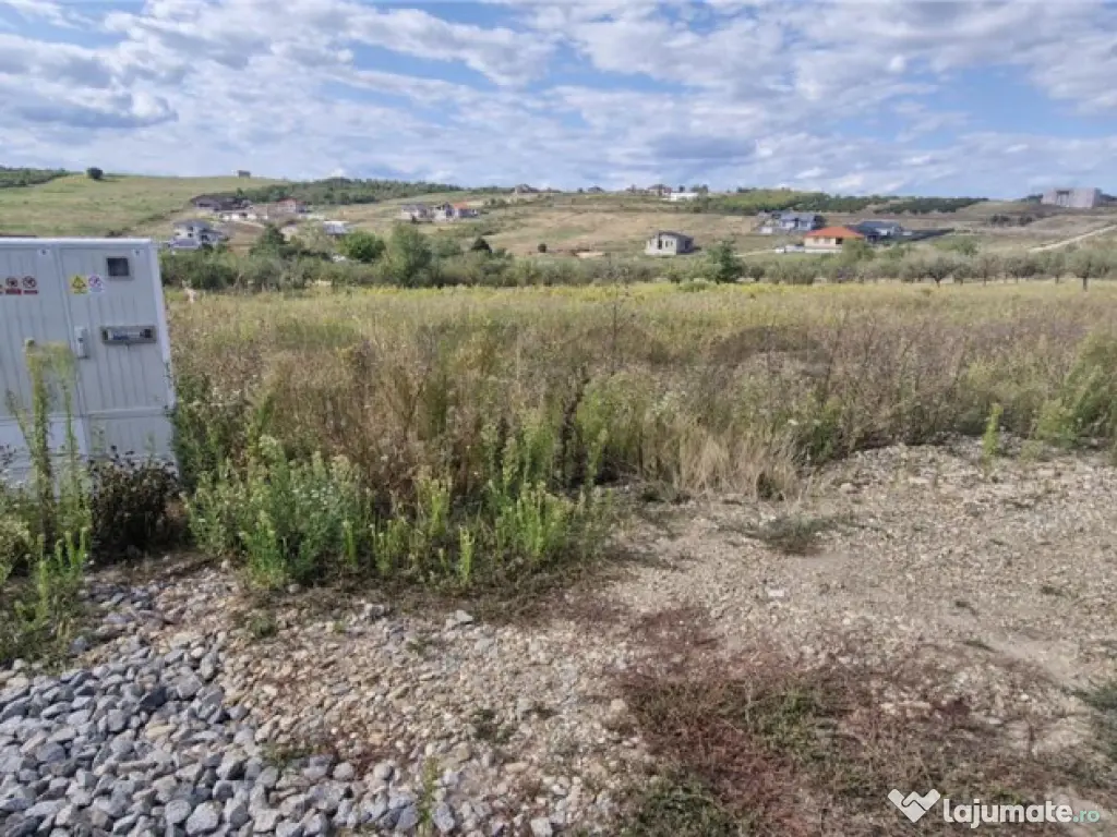 RECO Teren intravilan in Saldabagiu de Munte