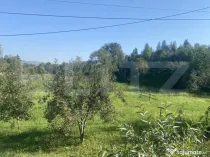 Teren in Doroteia, Plutonița, 3880 mp, intravilan