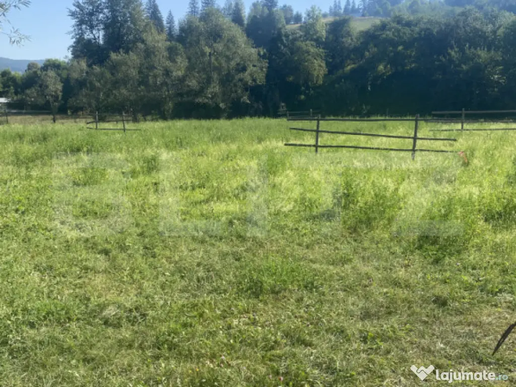 Teren in Doroteia, Plutonița, 3880 mp, intravilan