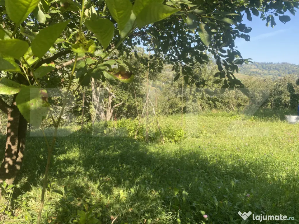 Teren in Doroteia, Plutonița, 3880 mp, intravilan