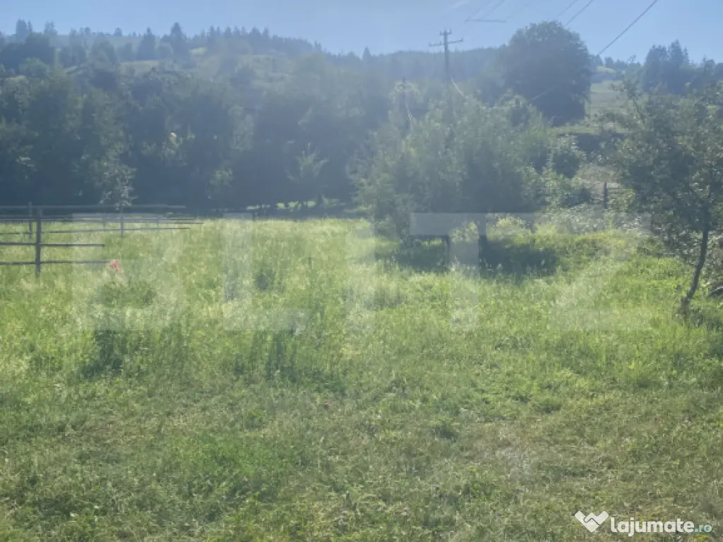 Teren in Doroteia, Plutonița, 3880 mp, intravilan