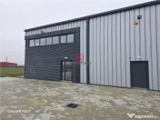 Depozit/hala/spatiu industrial Mogosoaia - Buftea 