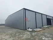 Depozit/hala/spatiu industrial Mogosoaia - Buftea 