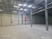Depozit/hala/spatiu industrial Mogosoaia - Buftea 
