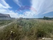 Teren intravilan Golesti / Aleea Lacramioarei 