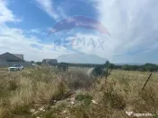 Teren intravilan Golesti / Aleea Lacramioarei 