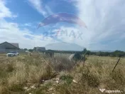 Teren intravilan Golesti / Aleea Lacramioarei 