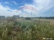 Teren intravilan Golesti / Aleea Lacramioarei 