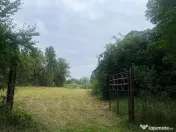 De vânzare teren intravilan, 2352 mp, Pachia, Covasna! 