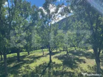 Teren intravilan 500mp Saratel