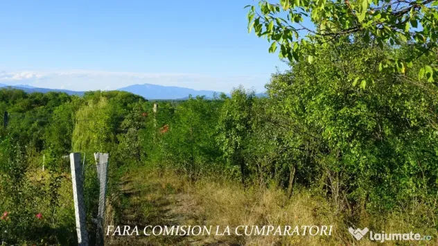 BUDESTI, TEREN 1000 MP, PRIVELISTE MINUNATA