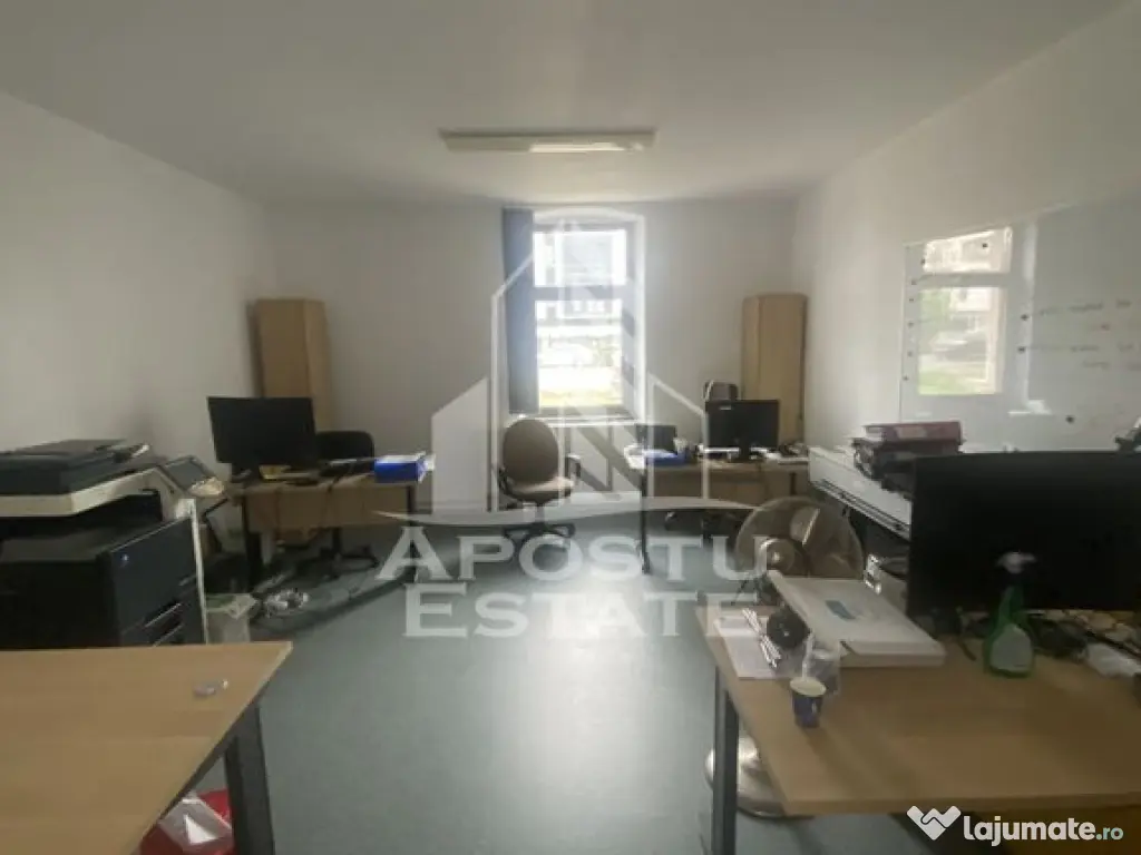 Casa în Dumbrăvița cu teren de 3039 mp și Front Stradal de 40 ml - Dumbravita (Timis)