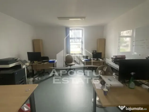 Casa în Dumbrăvița cu teren de 3039 mp și Front Stradal de 40 ml - Dumbravita (Timis)