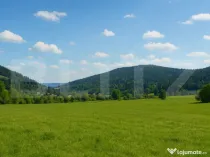 Teren intravilan de vanzare, 5872 mp, pe strada Chilia-Vatra