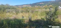 Teren intravilan de vanzare, 5872 mp, pe strada Chilia-Vatra