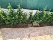 Imobil nou -Afacere,Birouri 