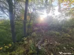 Teren intravilan de vanzare in Telega