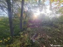 Teren intravilan de vanzare in Telega