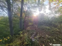 Teren intravilan de vanzare in Telega