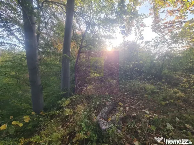Teren intravilan de vanzare in Telega
