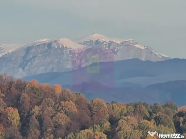 Teren intravilan de vanzare in Telega