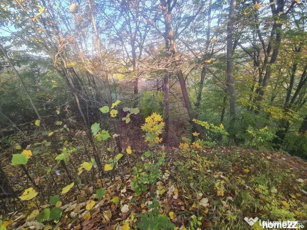 Teren intravilan de vanzare in Telega
