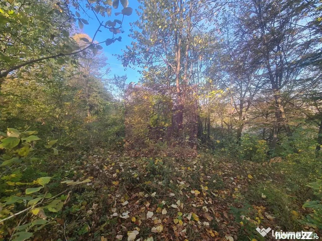 Teren intravilan de vanzare in Telega