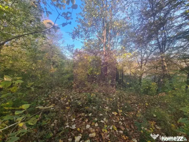 Teren intravilan de vanzare in Telega