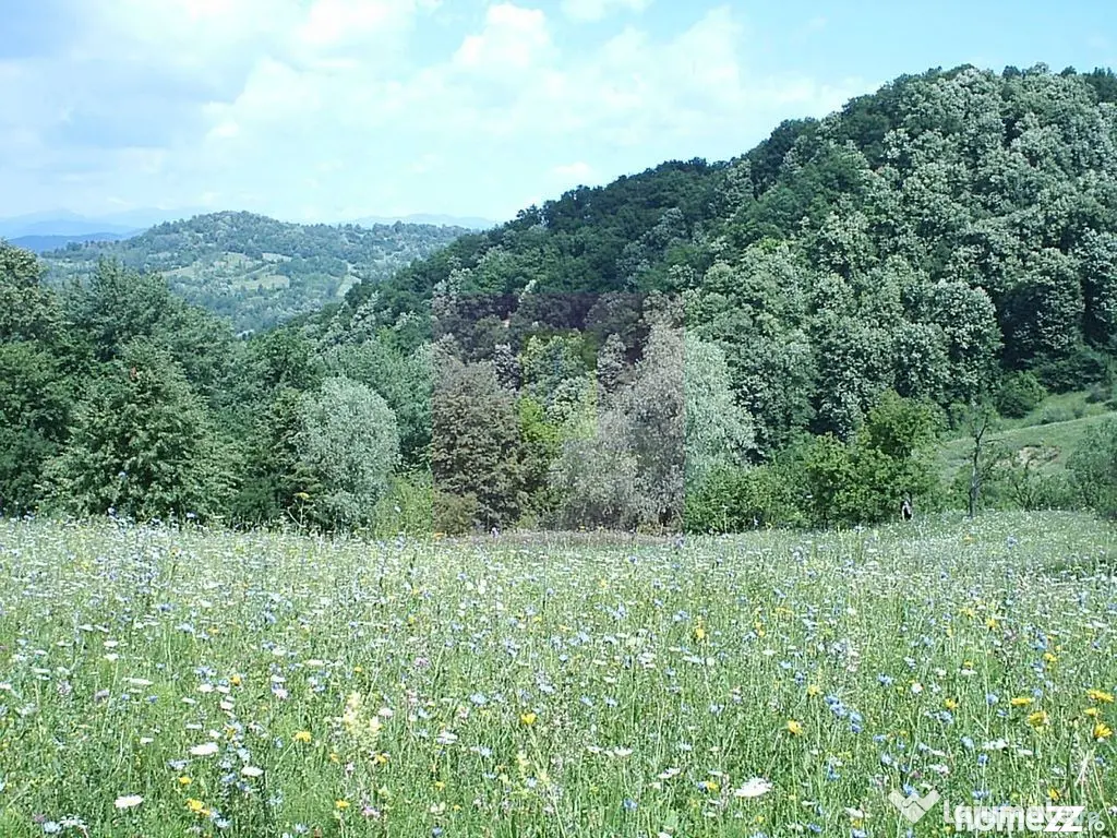 Teren intravilan de vanzare in Telega