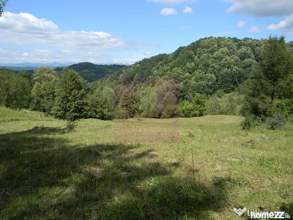 Teren intravilan de vanzare in Telega