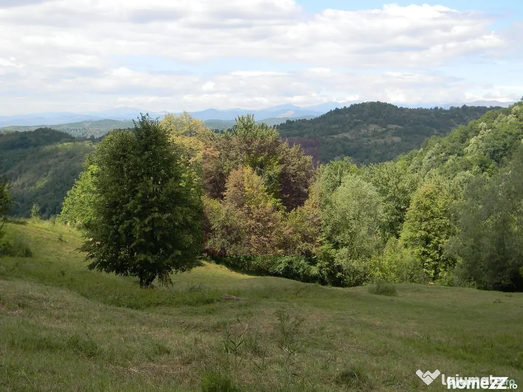 Teren intravilan de vanzare in Telega