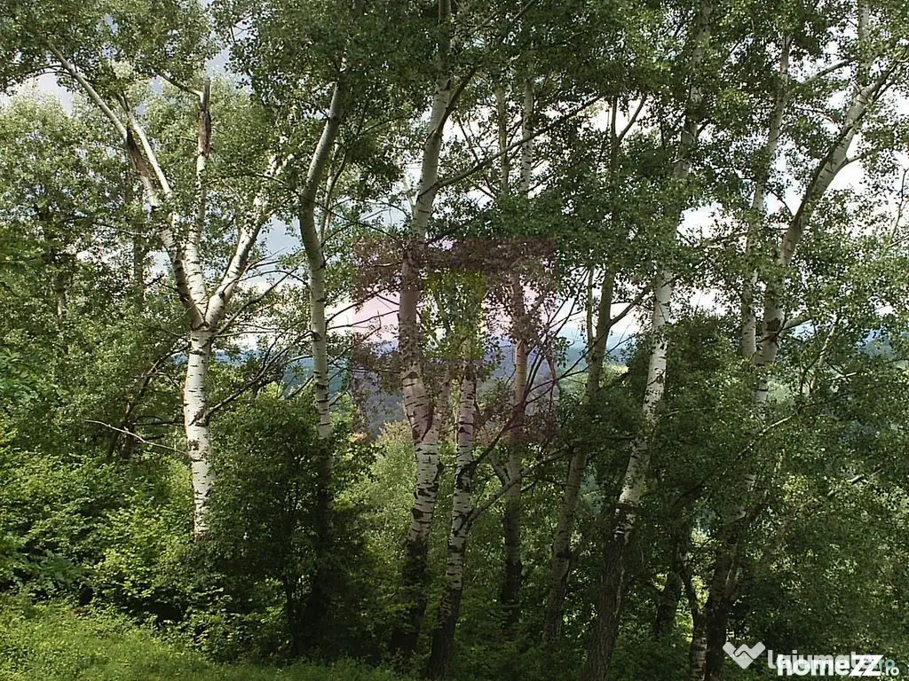 Teren intravilan de vanzare in Telega