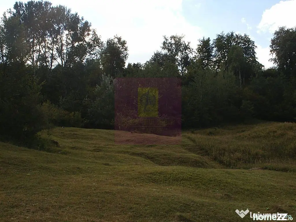 Teren intravilan de vanzare in Telega