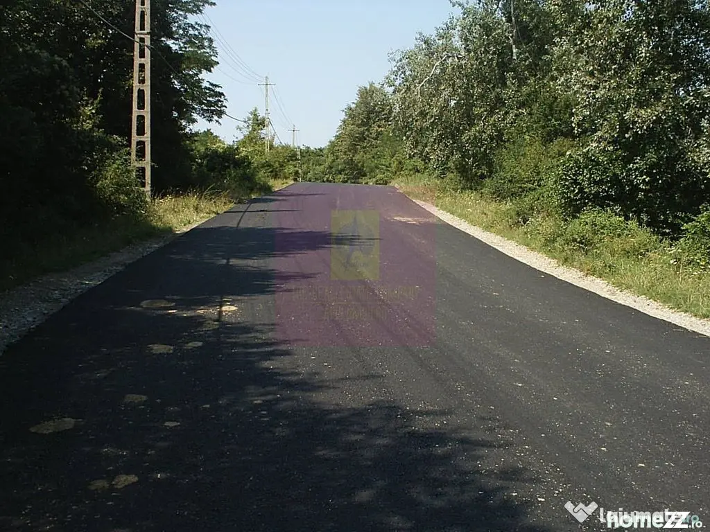 Teren intravilan de vanzare in Telega