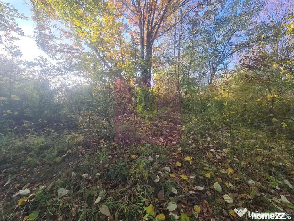 Teren intravilan de vanzare in Telega