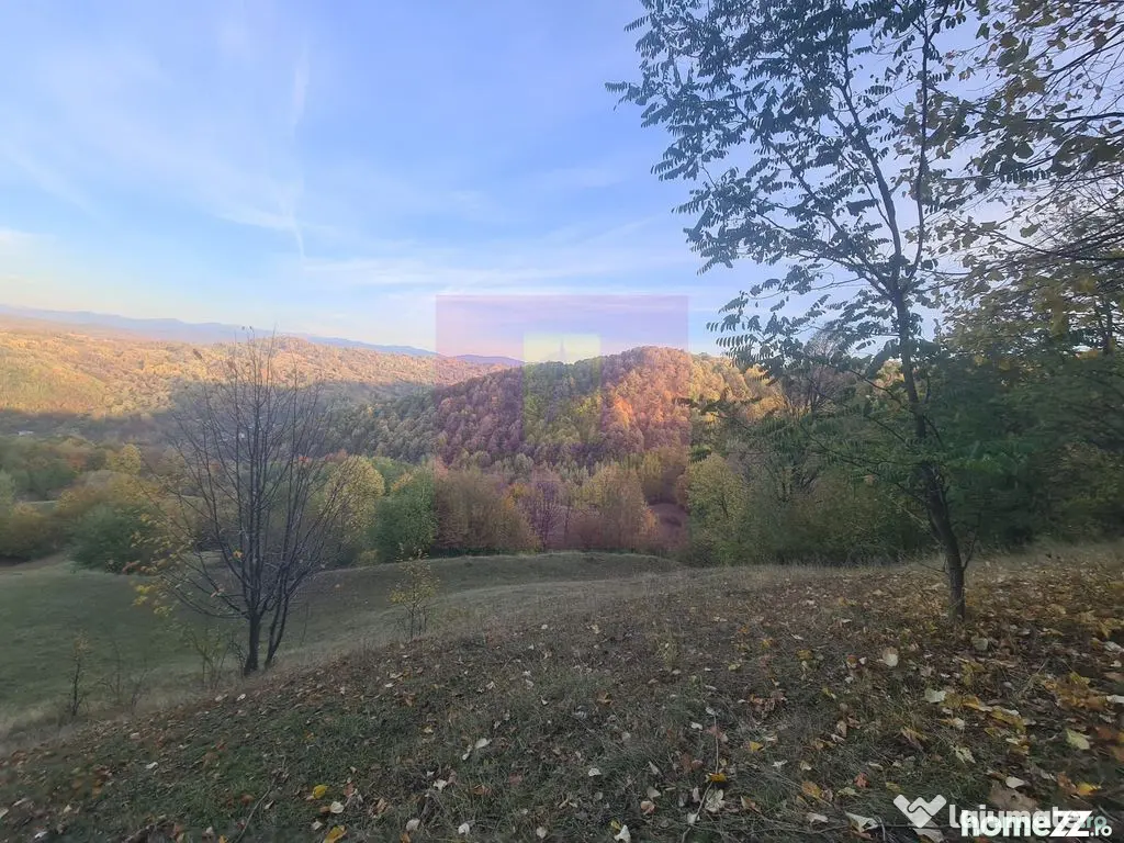 Teren intravilan de vanzare in Telega
