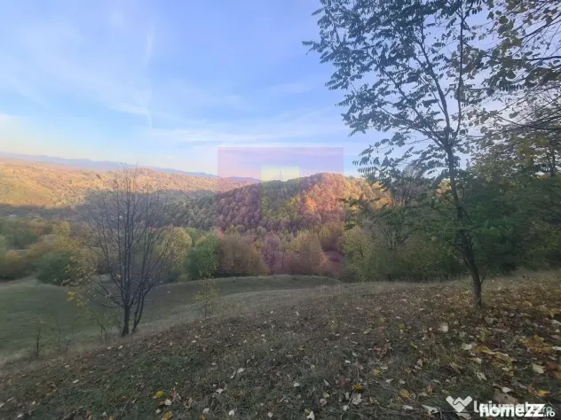 Teren intravilan de vanzare in Telega