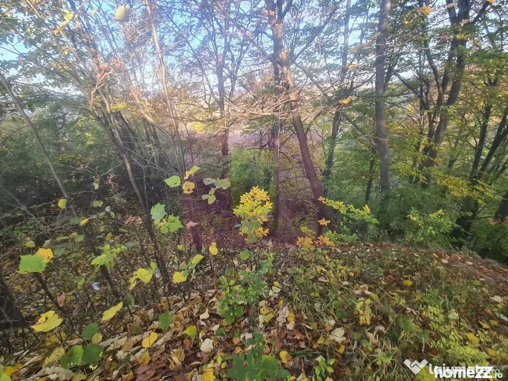 Teren intravilan de vanzare in Telega - Telega (Prahova)